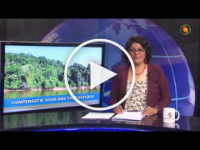 STVS JOURNAAL 05.09.19 Compensatie voor ons tropisch bos